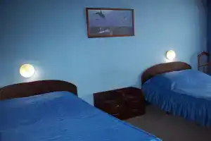 Gvozdika Hotel, Biysk