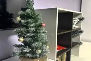 Uyutnaya Studiya Blizko K Aeroportu I Glavnym Universitetam Stolitsy Flat, Kartmazovo