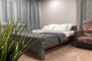 Na Kirova 67 Flat, Leninsk-Kuznetsky
