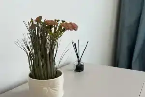 Serdobol 5 Apartments, Sortavala