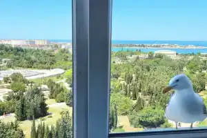 Nomera Park-Otel Hotel, Sevastopol