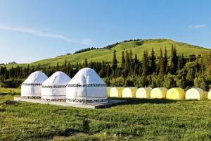 Karkyra Glamping, Karakol