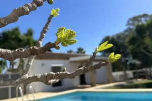 Vivienda Rural Atlántico Sur & Familias, Conil de la Frontera