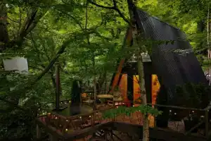 Dzen polyana Glamping, Krasnaya Polyana