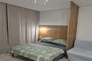 So Vsem Neobkhodimym Dlya Komfortnogo Prozhivaniya Flat, Ob'