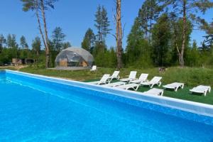 Pobeg iz goroda Tourist base, Nekrasovskoye