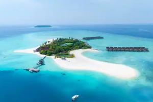 Dhigufaru Island Resort, Baa Atoll