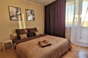 Khoroshaya kvartira na Institutskoy Flat, Pushkino