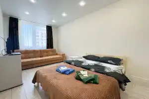 Uyutnaya kvartira vozle Sheremetyevo posutochno50 Apartments, Moscow