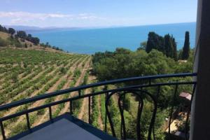 Selena Guest House, Alushta
