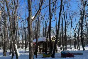 Dubravushka, Arsenyev