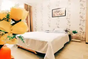 Odnushka U Avtovokzala Flat, Voronezh