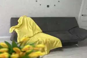 2-kh komnatnaya Flat, Lipetsk