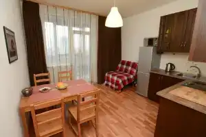 Sheynkmana 90 2 Flat, Ekaterinburg