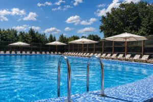 Foresta Festival Park Hotel, Prokhorovo