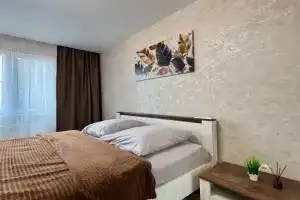 Yevrodvushka V Tsentralnom Rayone Goroda Flat, Kursk