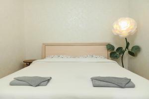 Uyutnaya V Samom Tsentre Kaliningrada Flat, Kaliningrad