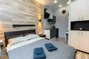 113.2 Profsoyuznaya Apartments, Moscow