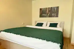 1-komnatnye s balkonom | Goodnight aparts Apartments, Rybinsk