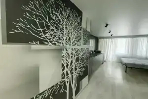 Studiya Ngpu Flat, Novosibirsk