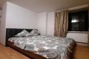 Na Proyezde Sharapovskiy 2 Flat, Mytishchi