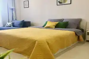 Svetlaya Uyutnaya Studiya Flat, Belgorod