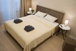 Na Rokossovskogo 14 Apartments, Kaliningrad