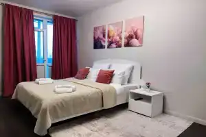 Uyutnaya Posle Remonta Flat, Kaliningrad