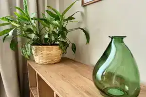 Zelenaya Flat, Korshunikha