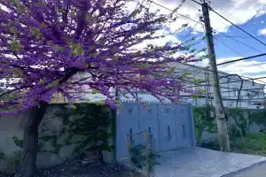 Vazi Guest House, Rustavi