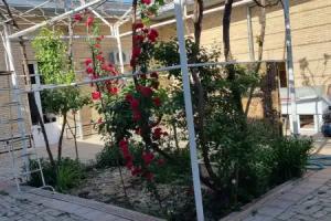 Hostel Muborak, Samarkand