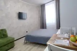 Vid Na Les Studiya Zhk Severny Vals Flat, Vsevolozhsk