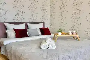 Life U Perinatalnogo Tsentra Apartments, Zelenograd