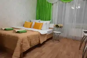 Studiya Uyutnaya po Ulitse Zarya Pogostim Flat, Chebarkul'