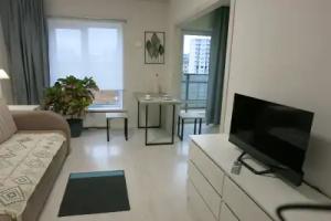 Uyutnaya Studiya Na Venskoy Flat, Pskov