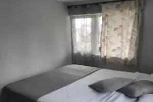 Savanna V Lazarevskom Flat, Lazarevskoye
