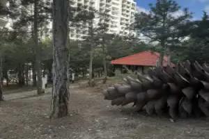 Uyutnaya Dvukhkomnatnaya Flat, Alushta