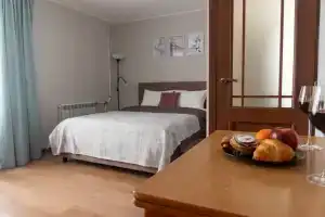 Uyutnye U Metro Leninskiy Prospekt Apartments, St. Petersburg