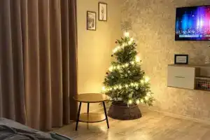 Lyuks s Vidom na Gorod v Centre Flat