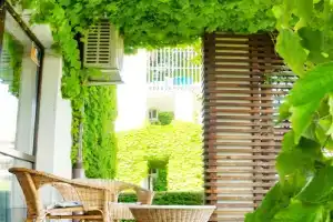 Phoenix De Luxe Apartment, Adler