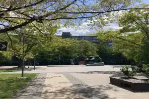 Uyutnaya dvukhkomnatnaya v tsentre goroda Flat, Kaliningrad