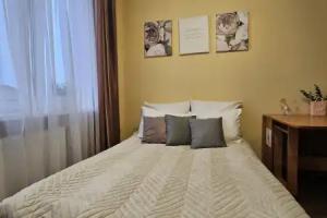 Studiya Dlya Dvoikh Flat, Sestroretsk