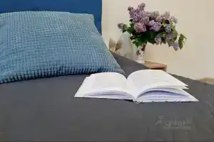 Na Allee Ryadom S Fiztekhom I Sheremetyevo Apartments, Dolgoprodnyy