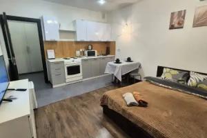 V Novom Pushkino Flat, Pushkino