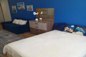Uyutnaya Odnokomnatnaya S Kosmeticheskim Remontom Flat, Velikiy Novgorod