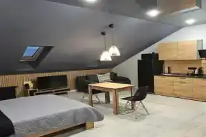 Apartamenty Loft Komfort Al'yans, Tikhvin