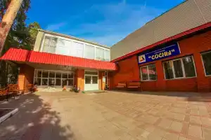 Sosny Sanatorium, Tatanovo