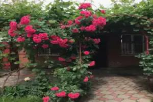 2-k Na Ulice Oktyabrskaya Flat, Labinsk