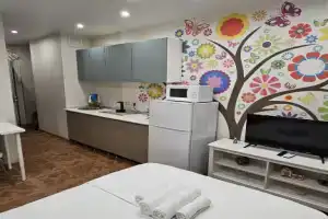 Studiya Stantsiya Pavshino Flat, Krasnogorsk