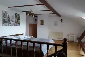 V Dome S Gorgulyej Apartments, Kaliningrad